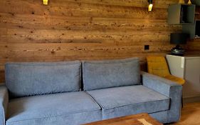 Superbe studio au pied des pistes